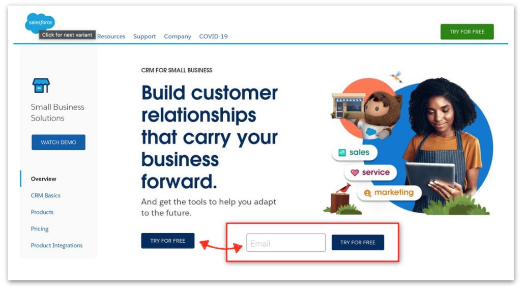 Salesforce small business landing page, with the Try for Free button alongside a variant that adds an email field, marked in red