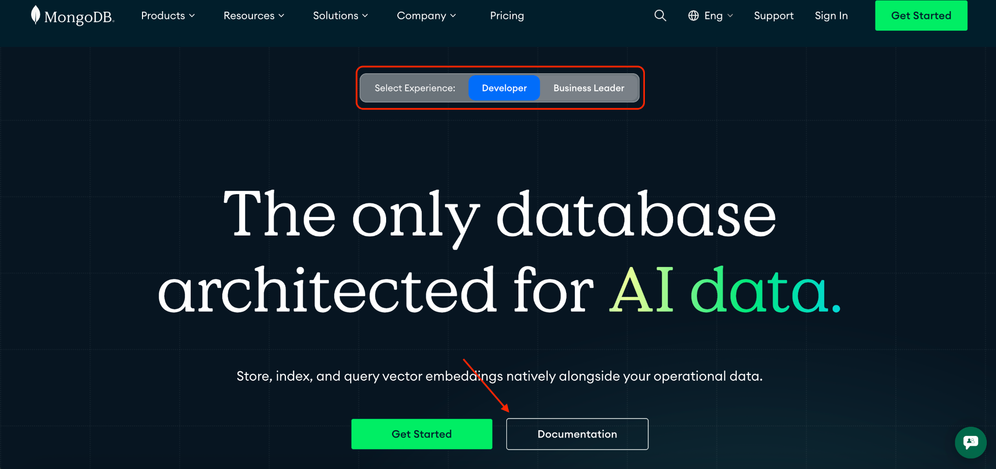 The MongoDB home page with a Select Experience toggle ringed in red at the very top, offering Developer or Business Leader